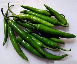 Natural Fresh Green Chilli