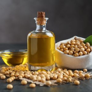 Raw Soybean Oil Seed