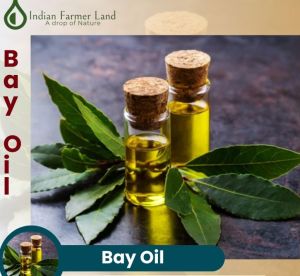 Bay Oil