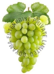 A Grade Fresh Green Grapes