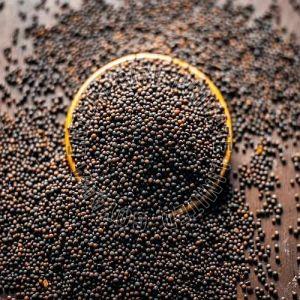 Mustard Seeds