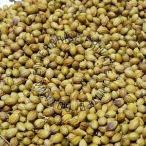 Coriander Seeds