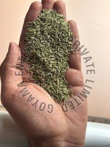 Regular Classic Fennel Seeds