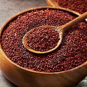 Finger Millet Seeds