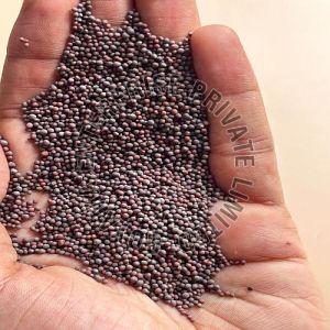 Micro Black Mustard Seeds