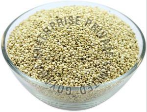 Quinoa Seeds