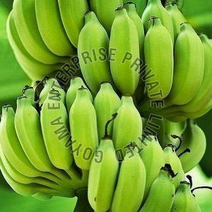 Raw Green Banana
