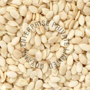 Sudan Watermelon Seeds