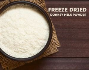 10 Kg Freeze Dried Donkey Milk Powder