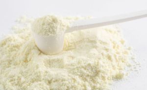 spray dried donkey milk powder