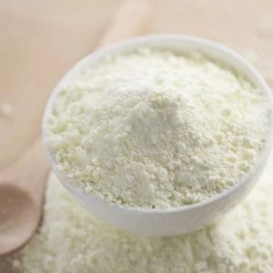 Spray Dried Donkey Milk Powder