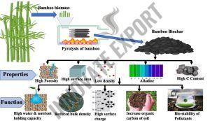 Bamboo Charcoal Powder