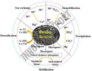 Bamboo Charcoal Powder