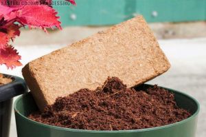 High EC Coco Peat Block