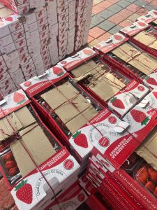 Strawberry Premium Quality