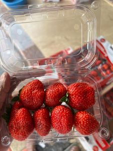 Strawberry Premium Quality