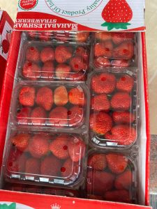 Strawberry Premium Quality