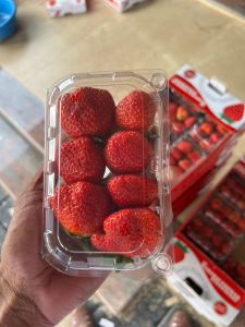 Strawberry Premium Quality