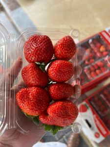 Strawberry Premium Quality