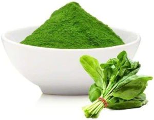 Spinach Powder