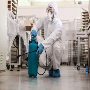 Pest Control Services