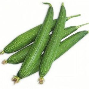 A Grade Green Fresh Ridge Gourd