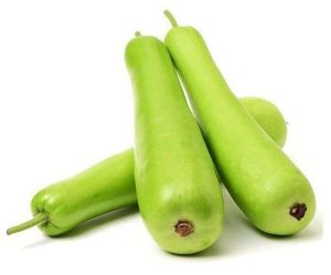 A Grade Green Organic Fresh Bottle Gourd