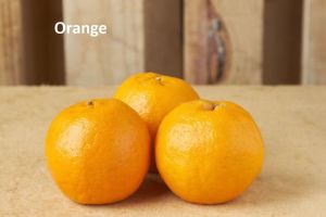 A Grade Organic Coorg Orange
