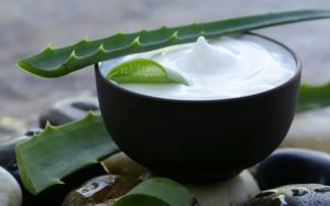 Aloe Vera Face and Skin Pack