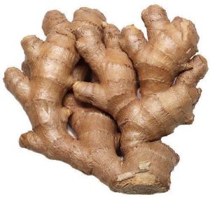 Brown Natural Fresh Ginger