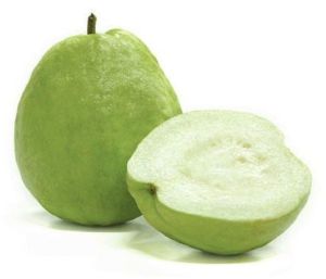 Fresh Green Guava