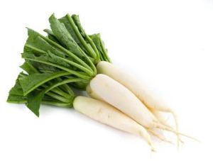 Fresh White Radish