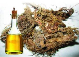 Jatamansi Hair Oil