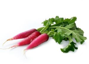 Organic Red Radish