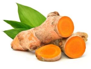 Yellow Lakadong Turmeric Root