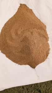 DDGS Rice Grain