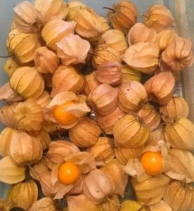 Fresh Golden Berry