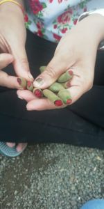 Unripe Red Tamarind