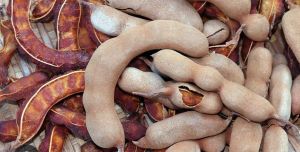 Ripen Red Tamarind