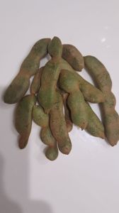 Unripe Red Tamarind
