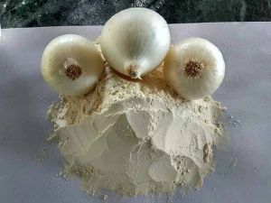 Dehydrated White Onion Powder