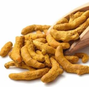 Kasturi Manjal Finger Turmeric