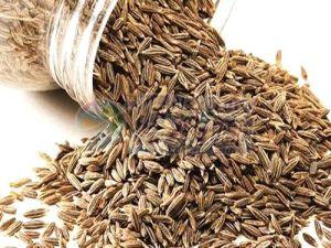 Brown Cumin Seeds