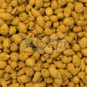 Double Polished Turmeric Bulb