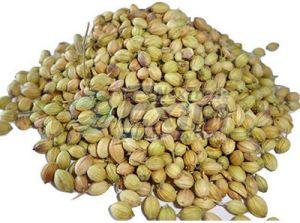 Eagle Coriander Seeds