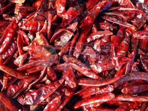 Stemless Dry Red Chilli