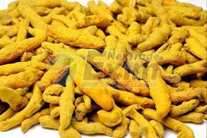 Yellow Turmeric Finger