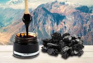 Shilajit Extract