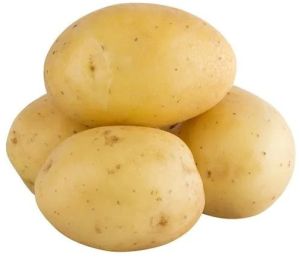 Fresh Raw Potato