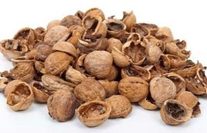 Natural Walnut Shell